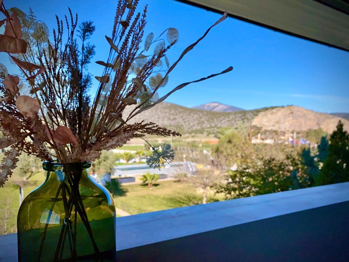 Villa Hylas Luxury Bed & Breakfast Kilada Kültér fotó